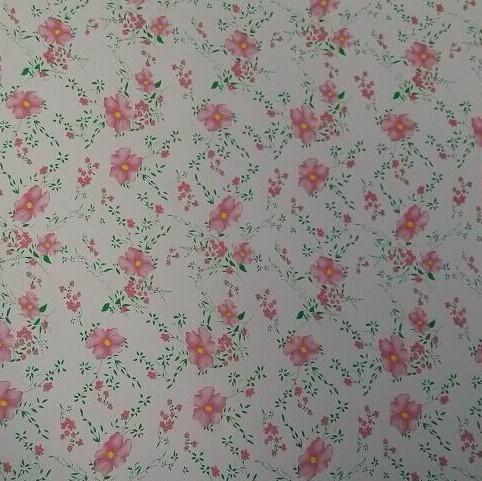 Ral 2169 Z60 90ga pre pintó la hoja cubierta del color del soldado enrollado en el ejército de la hoja de acero 3